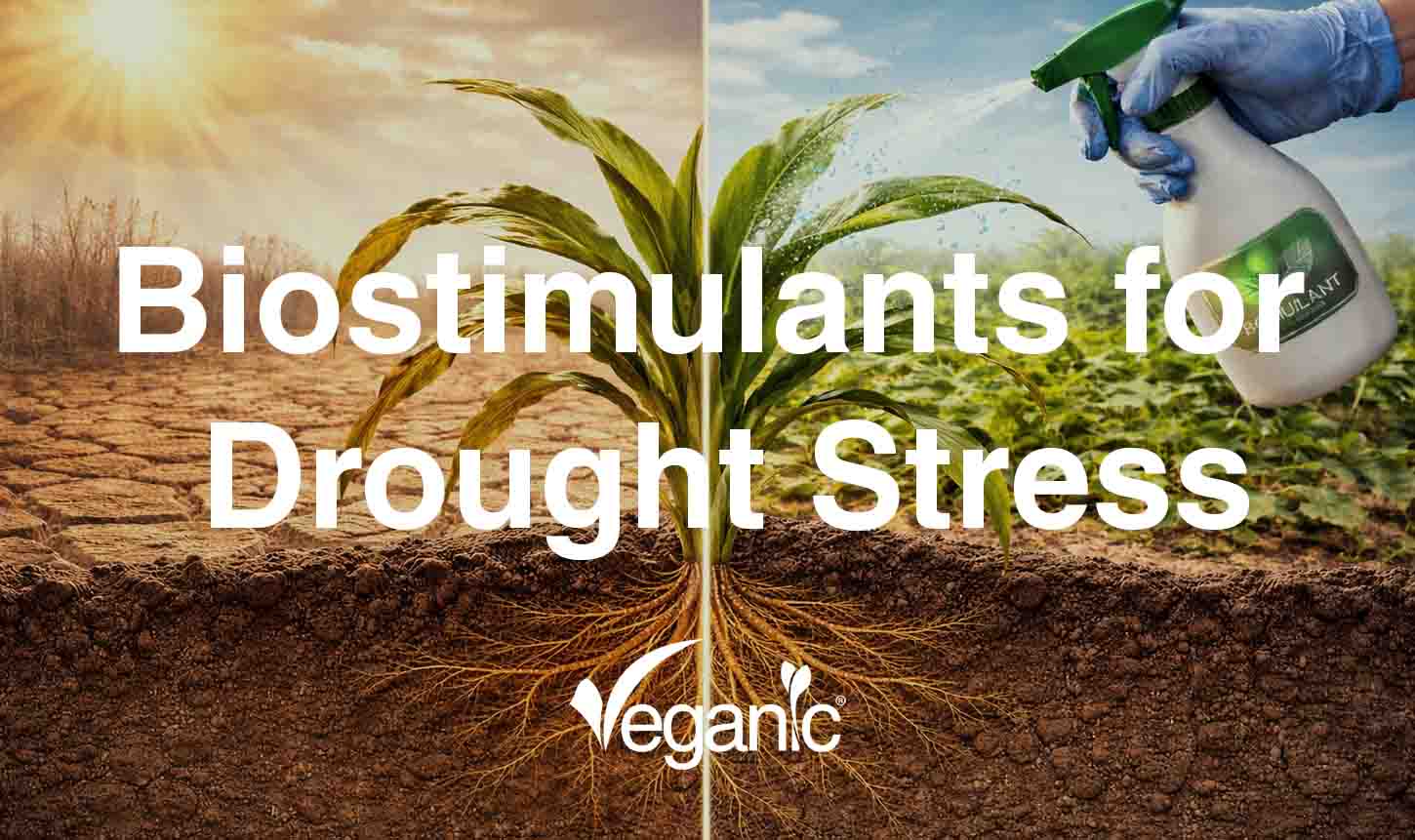 Biostimulants for Drought Stress