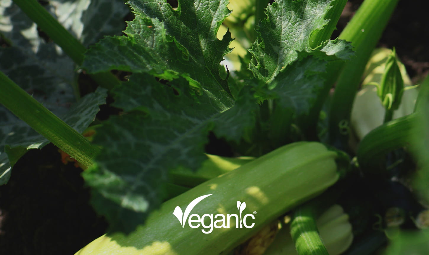 Integrated Pest Management