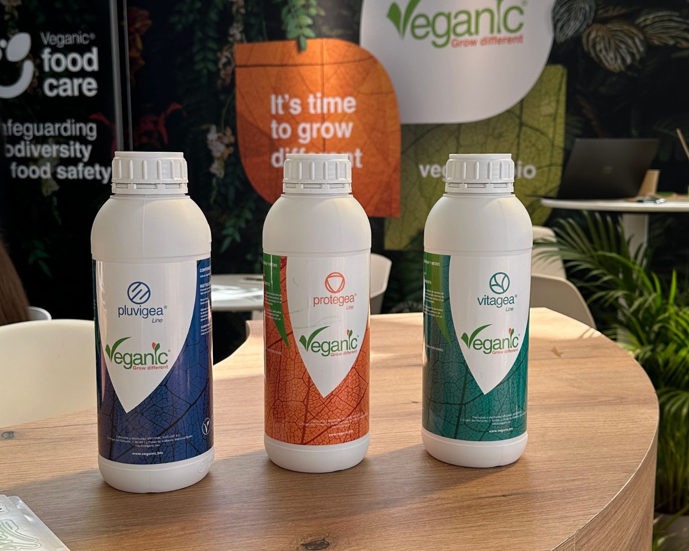 postblog_veganicanniversary3