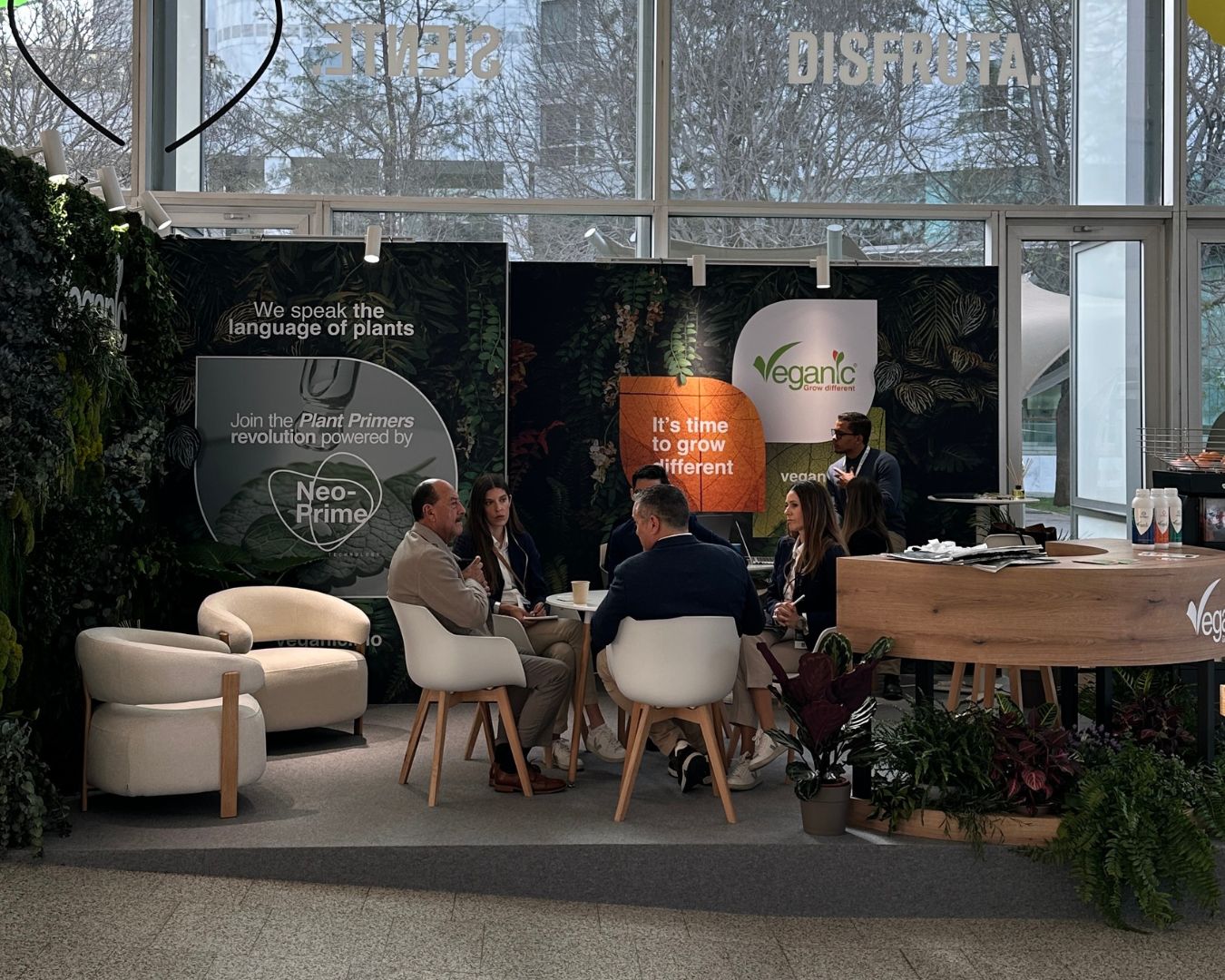 postblog_veganicanniversary4