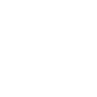 Profitability icon