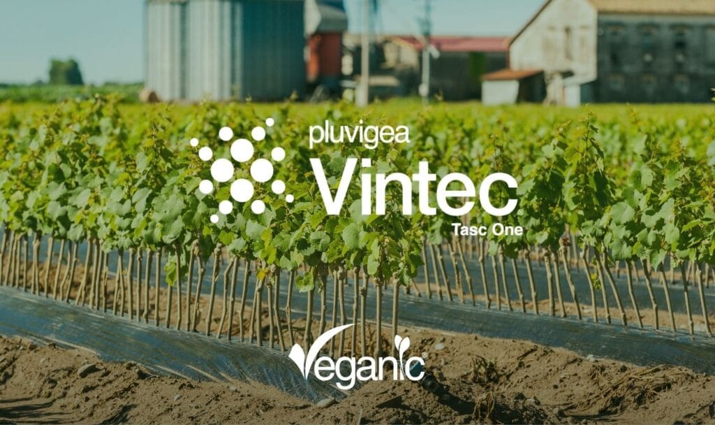 Vintec® Tasc One de Veganic en pépinière viticole