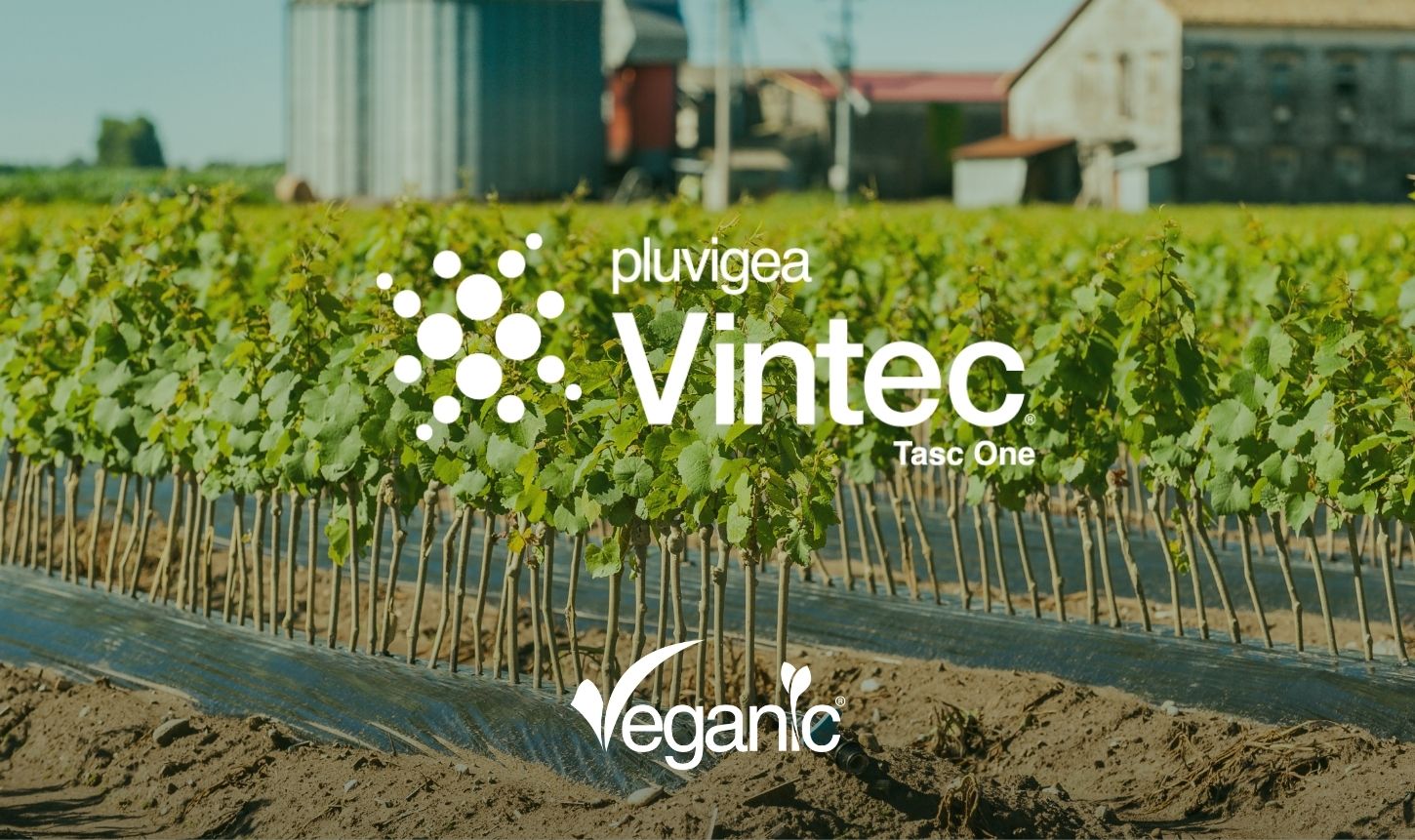 Vintec® Tasc One de Veganic en pépinière viticole